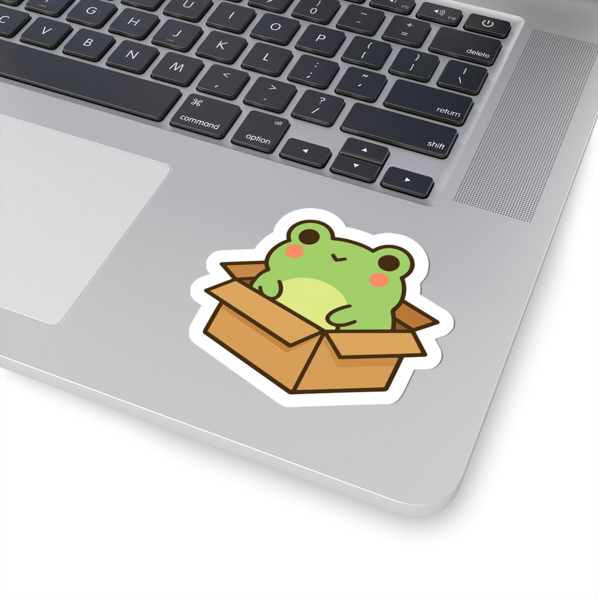 Cute Frog in Box Sticker | Kiss-Cut Vinyl Sticker